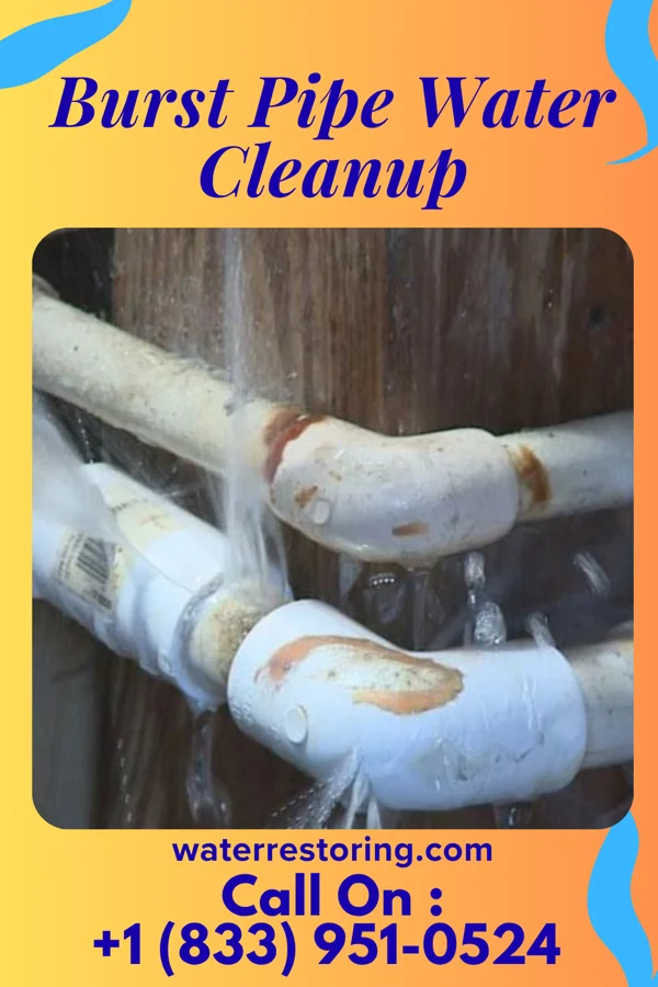 Burst Pipe Water Cleanup in Polk, OH