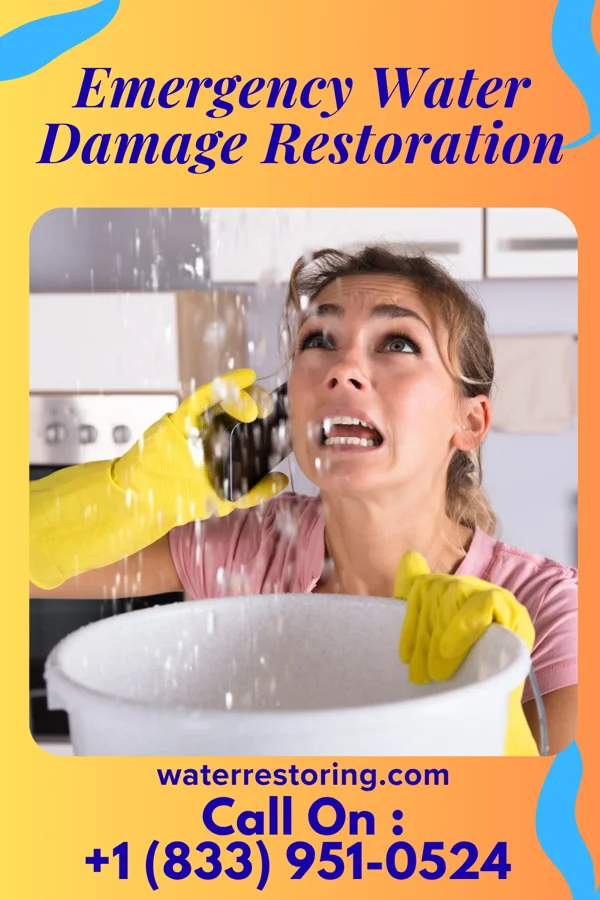 Emergency Water Damage Restoration in Polk, OH